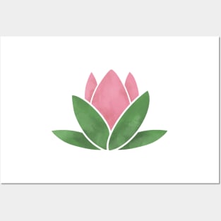 Pink Waterlily Posters and Art